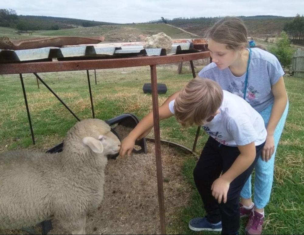Rocks & Roses Farm Stay Lochiel Eksteriør bilde