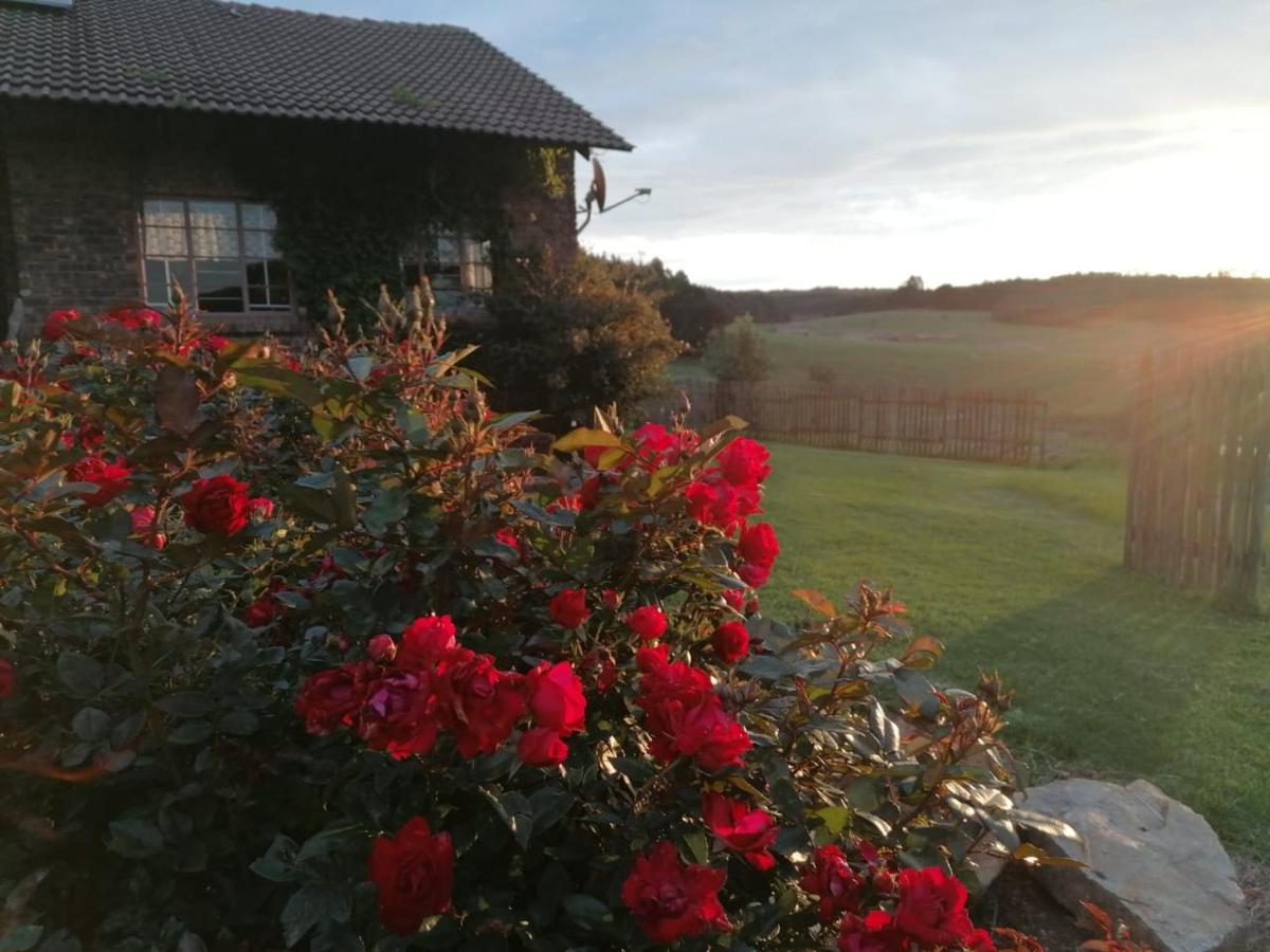 Rocks & Roses Farm Stay Lochiel Eksteriør bilde