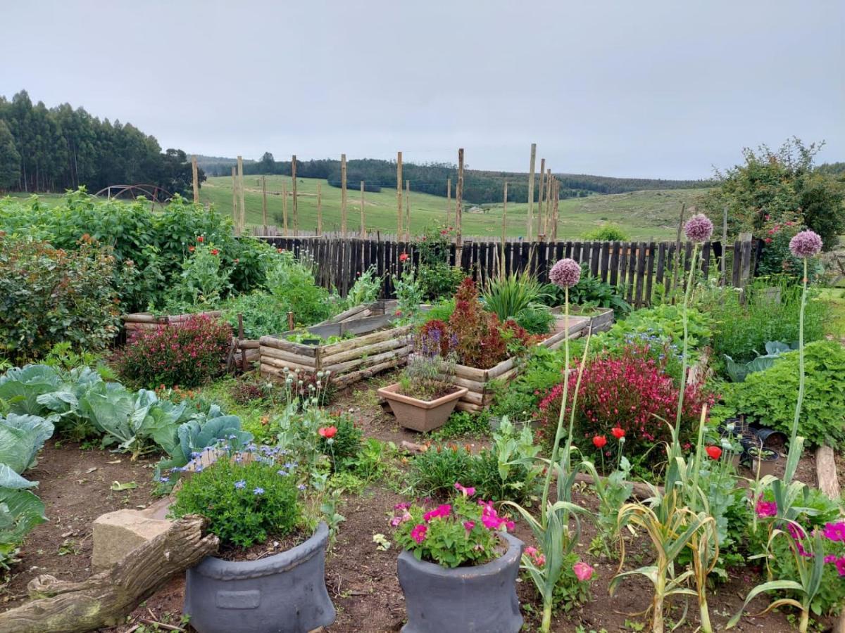 Rocks & Roses Farm Stay Lochiel Eksteriør bilde