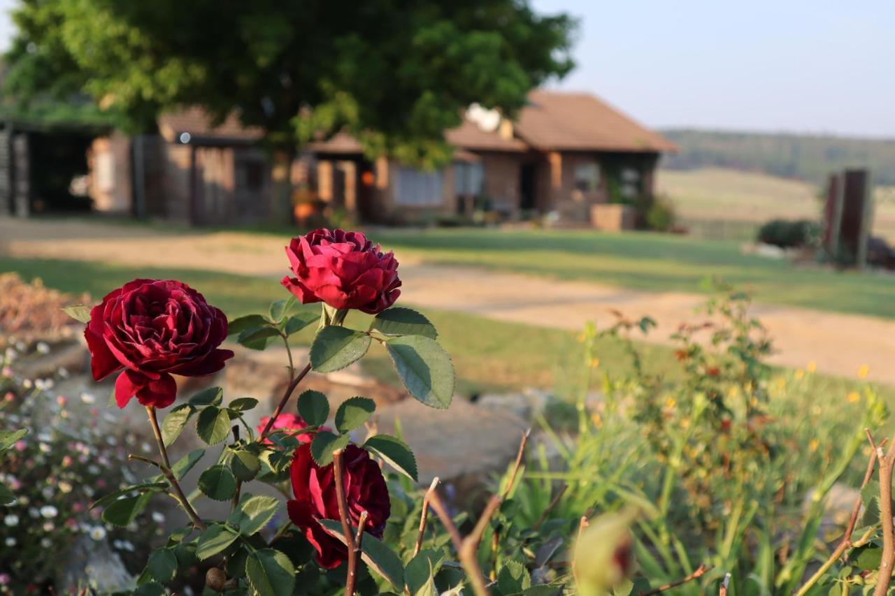 Rocks & Roses Farm Stay Lochiel Eksteriør bilde