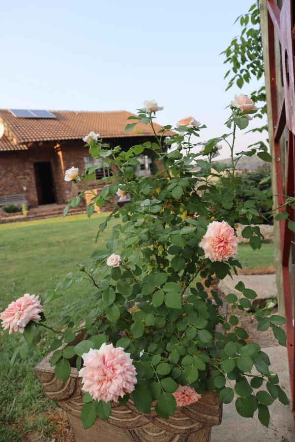 Rocks & Roses Farm Stay Lochiel Eksteriør bilde
